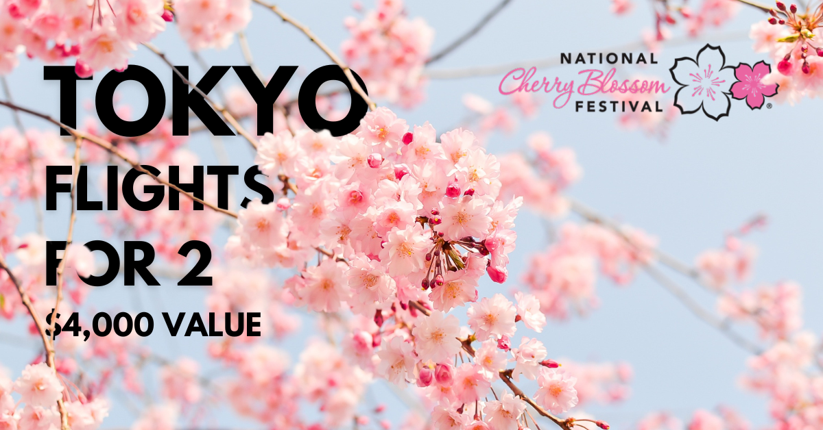 Cherry Blossom festival, flights for 2 to Tokyo giveaway.
